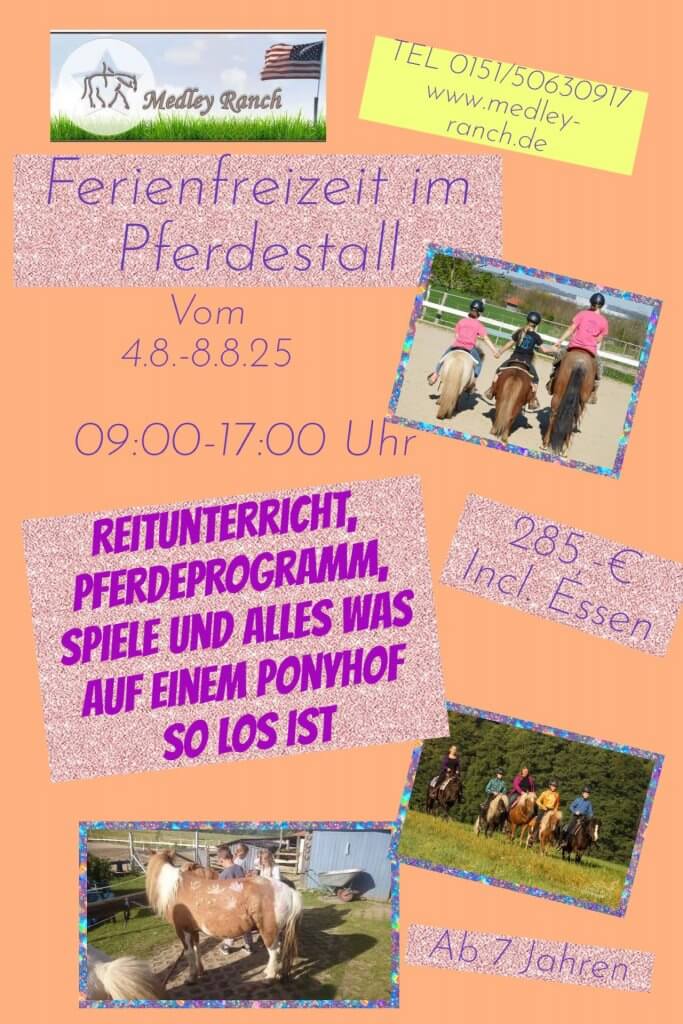 Ferienfreizeit im Pferdestall